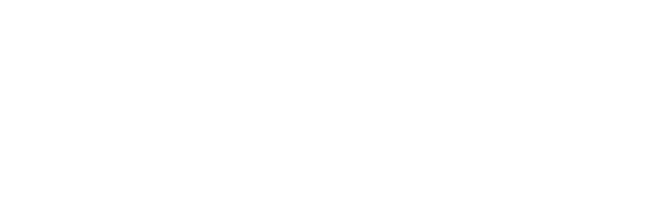 wizi tech logo white